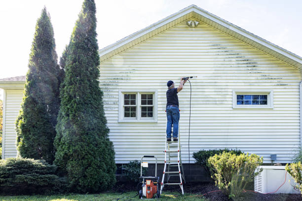 Best Fence Cleaning  in Bothell, WA